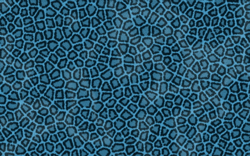 animal, animal scale, pattern, abstract, Leopard, full frame, no people, leather, reptile, animal skin, extreme close-up, surface level, old, abstract backgrounds