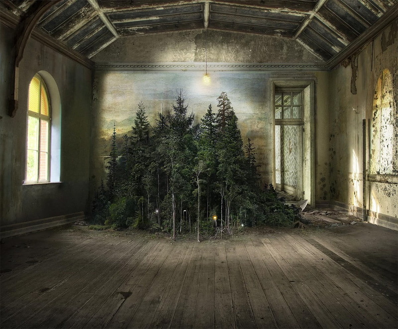 plant, window, architecture, ceiling, pine trees, nature, green, indoors, branch, run-down, built structure, building, no people, deterioration, lights