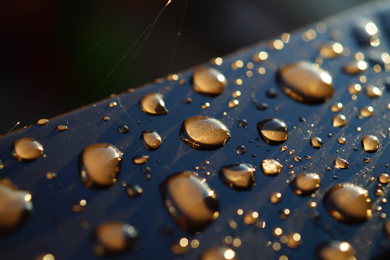 sweet food, celebration, circle, studio shot, reflection, clear, illuminated, h2o, drop, focus, rain, freshness, selective focus, indoors, natural, close