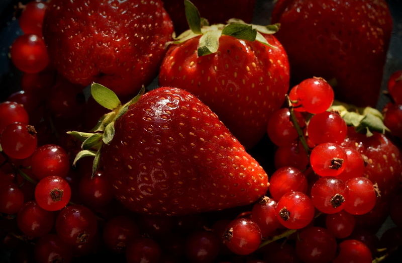 close-up, ripe, freshness, no people, still life, indoors, strawberry, red, red currant, full frame, large group of objects, wellbeing, fruit, healthy eating