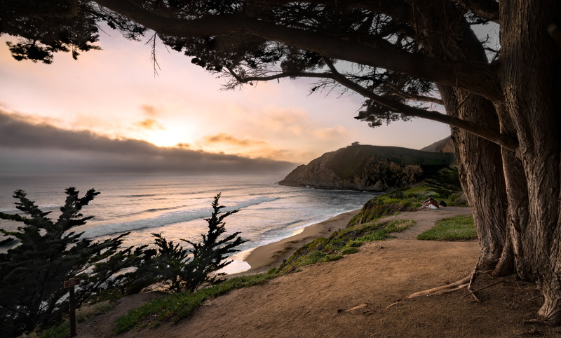 couple, 16mm, golden hour, Zeiss, Sony A7RII, trees, water, sea, sky, outdoor, waves, golden  hour, sun, Vario-Tessar, high  dynamic  range, sand  beach