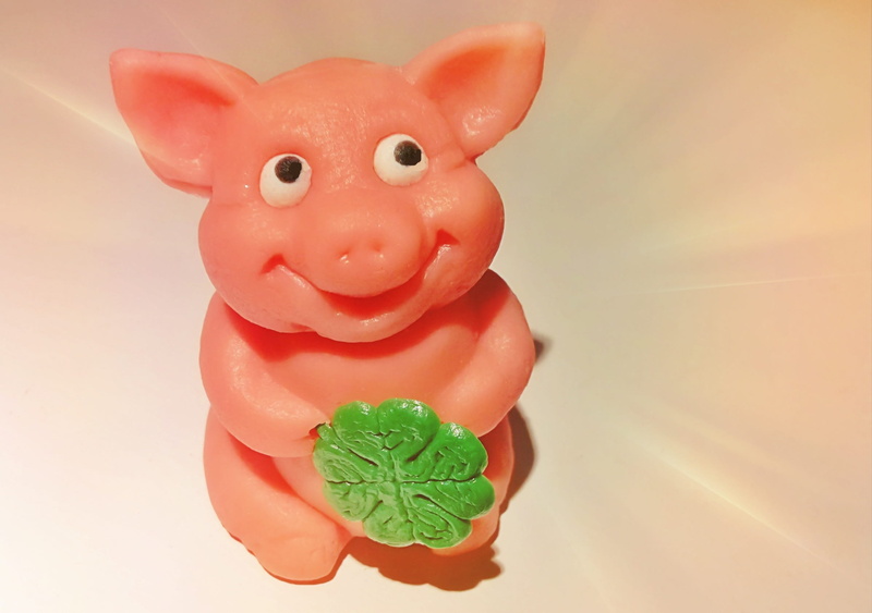 new years day, luck, indoors, animal themes, piglet, mammal, photo, pink, close, animal, freshness, representation, white background, art and craft, lucky charm