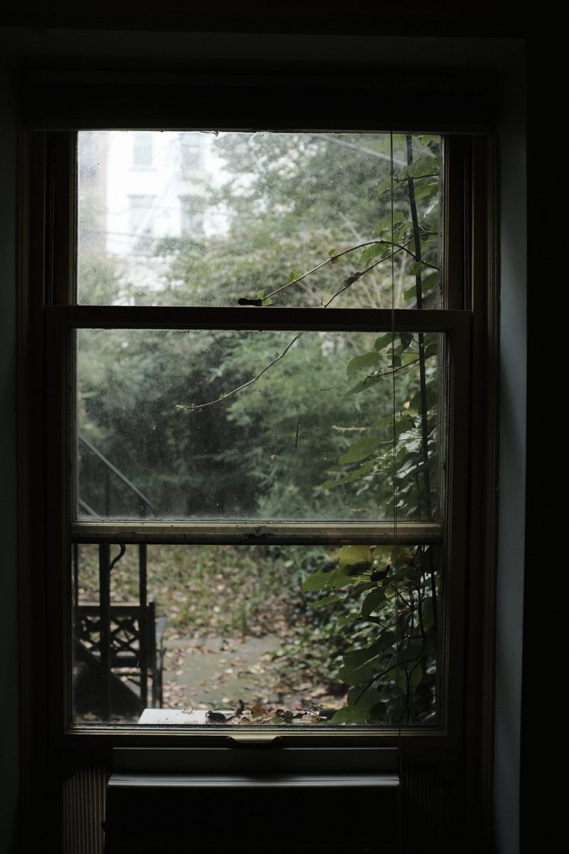 dark, glass - material, green color, clear, day, muggy, growth, window frame, indoors, plants, looking out, garden, nature, autumn, window, domestic room