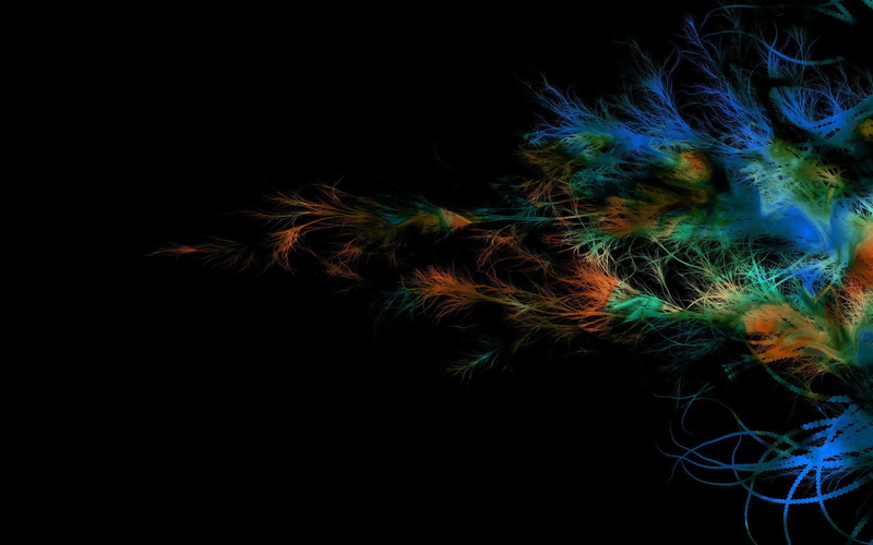 abstract, feather, 2560x1600, red, 2K, green, feathers, colorful, blue