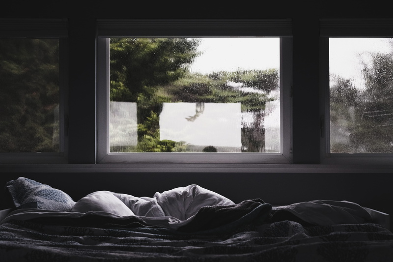 comforter, indoors, beside, home decor, domestic room, 5K, picture window, relaxation, day, display, textile, plant, bed, furniture, gray, monitor, tree