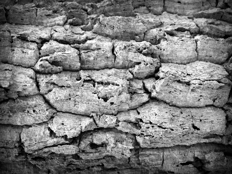 solid, wall, texture, history, brown, pine, time, rugged, plank, material, corroded, outdoors, line, tracery, ruined, macro, cracked, forestry, woodwork