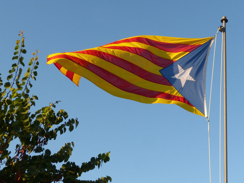 tree, catalan flag, blue, 2K, flag, clear sky, environment, pride, catalunya, senyera, no people, yellow, sky, low angle view, dom, multi colored, wind
