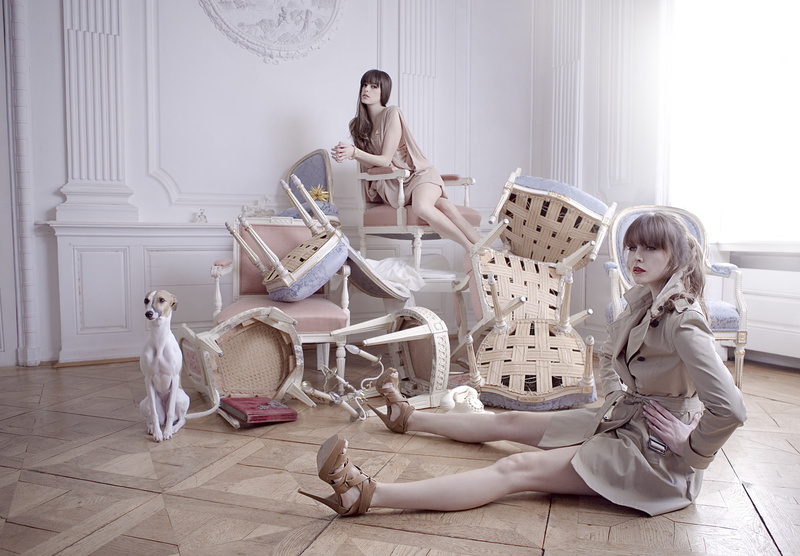 girls, posing, furnished, swift, interior, 1080P, chairs, taylor, model, dog