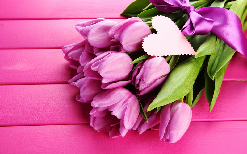 Pink, Tulips, Flowers, 2K, roses, Ribbon