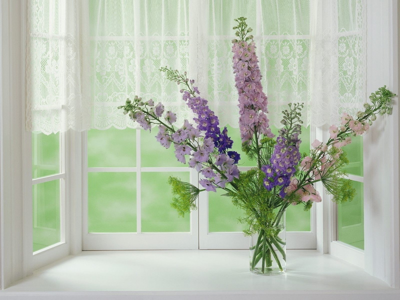 nature, domestic room, indoors, growth, blossom, no people, home interior, curtain, vulnerability, 720P, day, freshness, Flower, Flowers, Gladioli, fragility