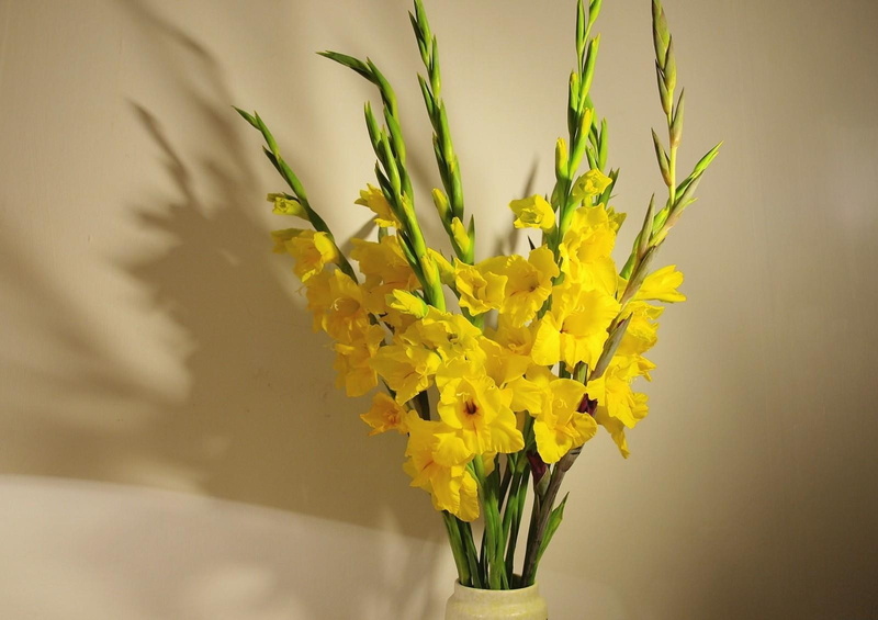 bunch of flowers, selective focus, inflorescence, vulnerability, 720P, flower arrangement, decoration, Bouquet, Vase, Yellow, Wall, petal, flower, plant