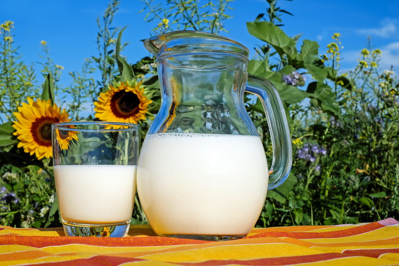 drinking, plant, nutrition, food, two, freshness, vitamins, table, cows milk, glass - material, pitcher - jug, healthy, flowering plant, pitcher, tree