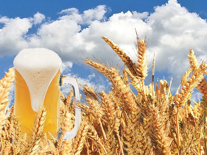 Beer Glass, thirst, food and drink, sky, land, grain, clouds, plant, benefit from, no people, barley, cloud - sky, crop, farm, nature, growth, cereal plant