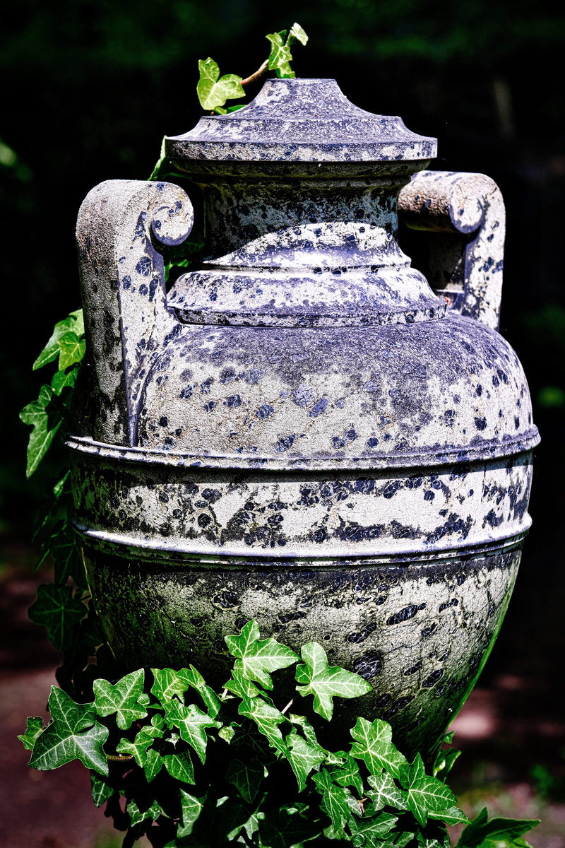 outdoors, sculpture, stone, growth, no people, plant part, old, close-up, metal, henkel, krug, leaf, green color, land, decoration, 5K, nature, rusty