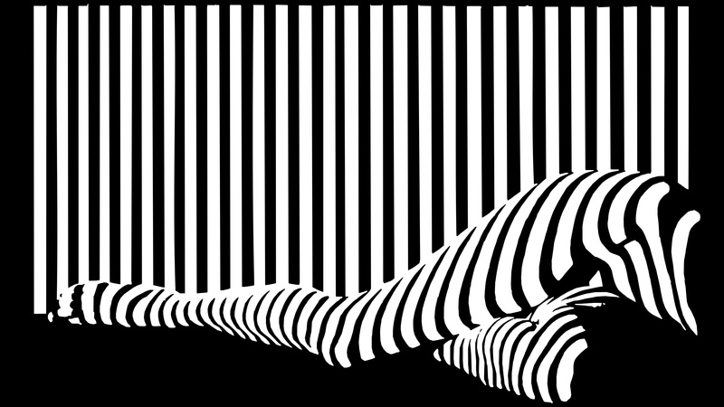 backgrounds, pattern, black color, day, auto post production filter, studio shot, striped, close-up, animal, textile, sunlight, barcode, white color, indoors