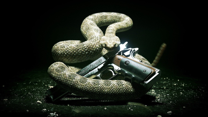 1080P, snake, Hitman, gun, animals, 1911