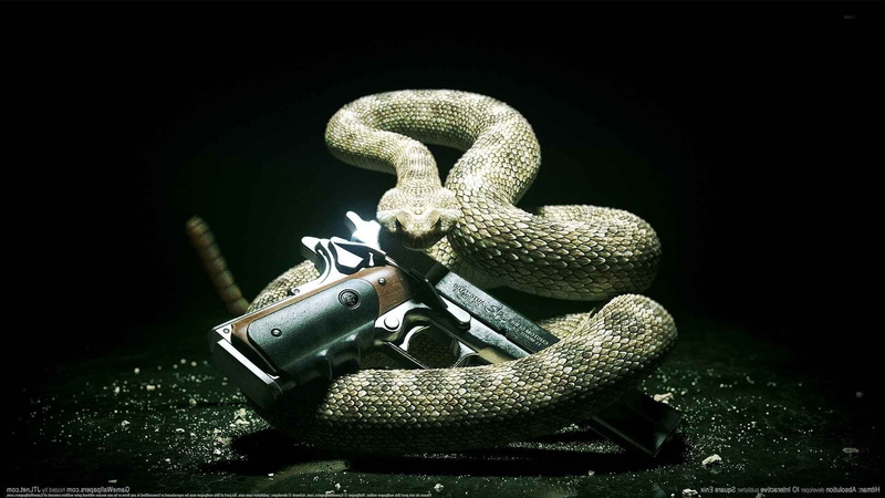 Hitman: Absolution, gun, PC Gaming, snake, 1080P