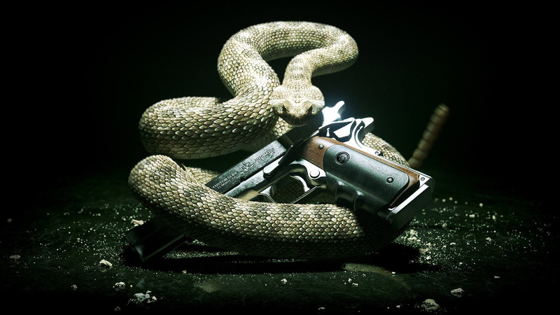 snake, Hitman, aggression, Pistol, no people, 1080P, nature, Hitman: Absolution, automatic, black background, night, animal, green color, close-up, black