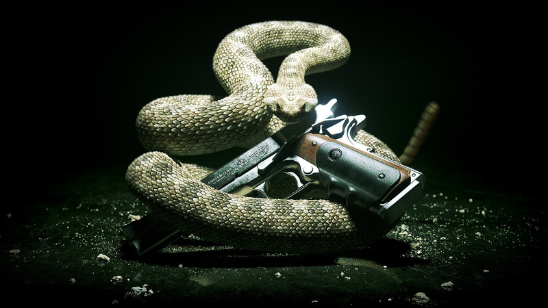 1080P, hd, hitman, snake, video games, handgun