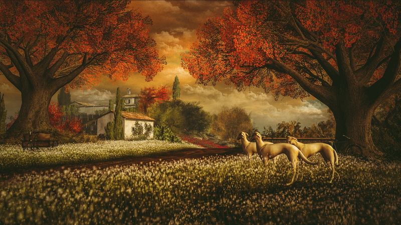 sunset, flowers, comfort, landscape, bike, dogs, the sky, autumn, warm colors, garden, clouds, branch, the evening, rendering, greyhounds, Greyhound, lawn