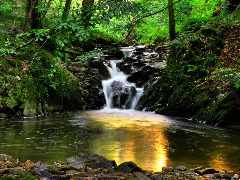 austria, falls, vegetation, stream, klein-pyokhlarn, 2K, trees, modulations, reflection