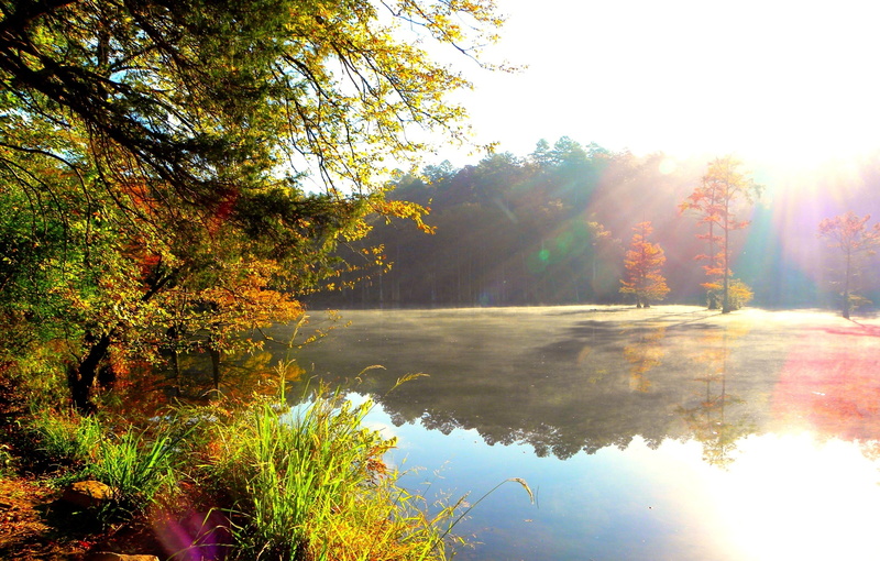 tranquility, scenics, summer, outdoors, mountain, nature, vibrant Color, autumn, sunset, light, lake, light - Natural Phenomenon, day, wood, lush Foliage