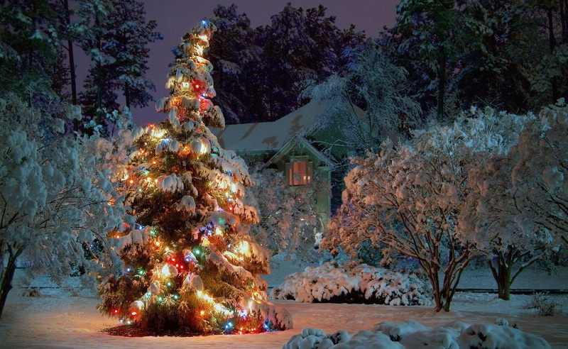 holiday, night, year, new, 1080P, home, beauty, christmas, tree, new year