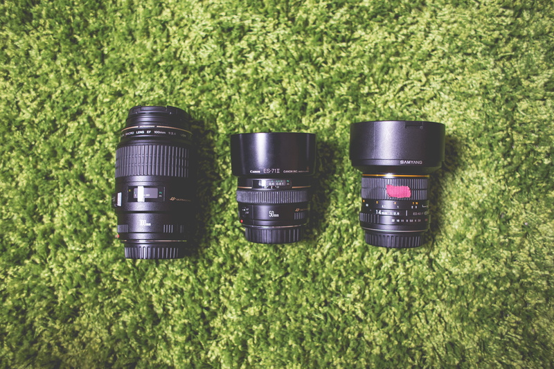 sunlight, grass, plant, green Color, Lenses, plant part, still life, digital camera, environmental issues, metal, growth, high angle view, outdoors, optic