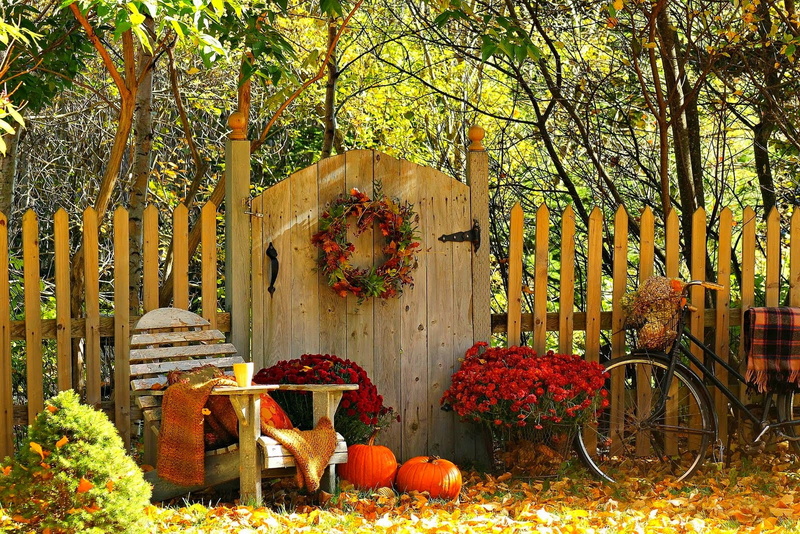 sheet, door, thanksgiving, no People, 1080P, tree trunk, pumpkin, holiday, leaf, tree, outdoors, coffee, mountain, rustic, forest, cup, trees, trunk, fruit