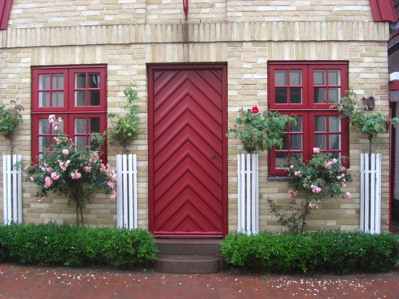 day, window, flowers, doorway, residential district, nature, flowering plant, no people, built structure, city, facade, flower, wood - Material, germany