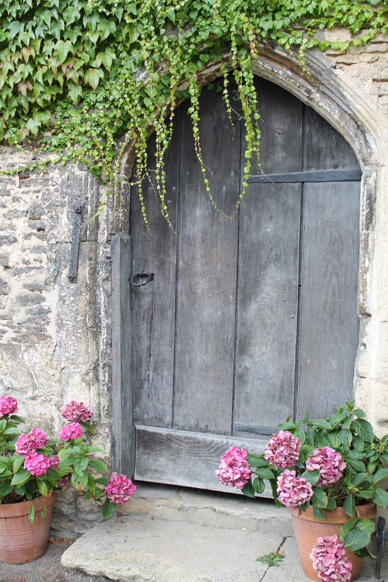 plant part, wall - building feature, ivy, nature, house, front door, day, wood, building, outdoors, 4K, growth, plants, plant, garden, brown, flowers