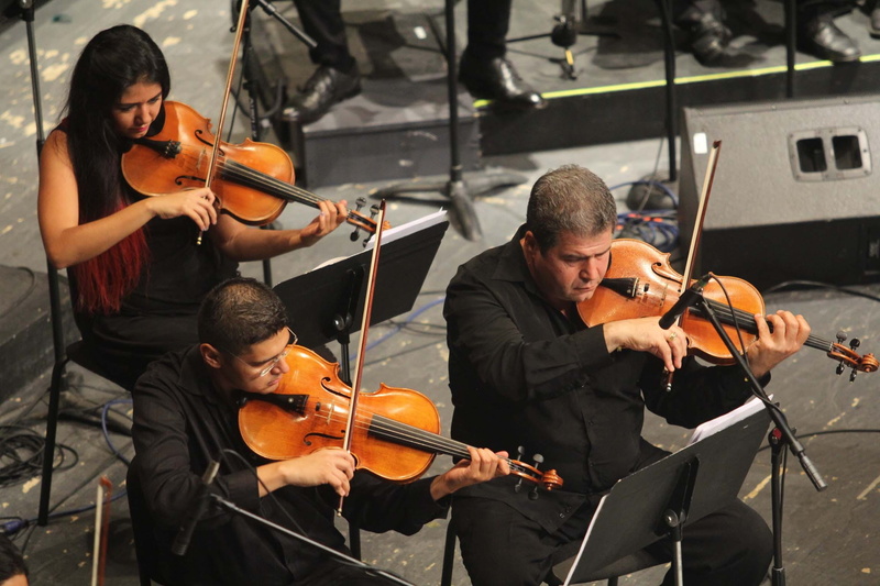musical, practice, composition, string, rhythm, teamwork, note, performing arts event, finger, musician, white, playing, entertainment, classic, musical equipment