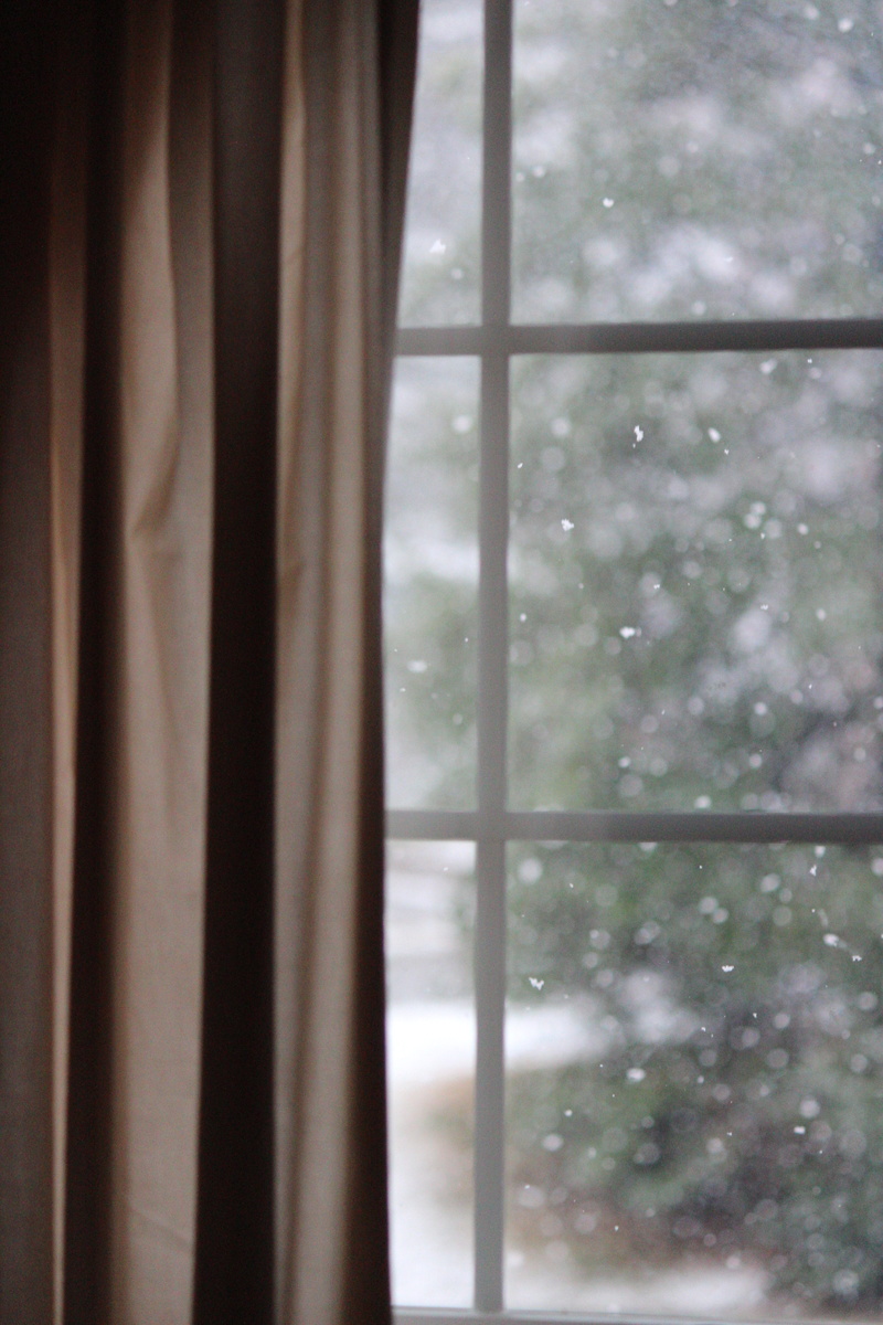 house, focus on foreground, united states, transparent, glass - material, curtains, curtain, winter, windows, green, snowy, st. louis, close-up