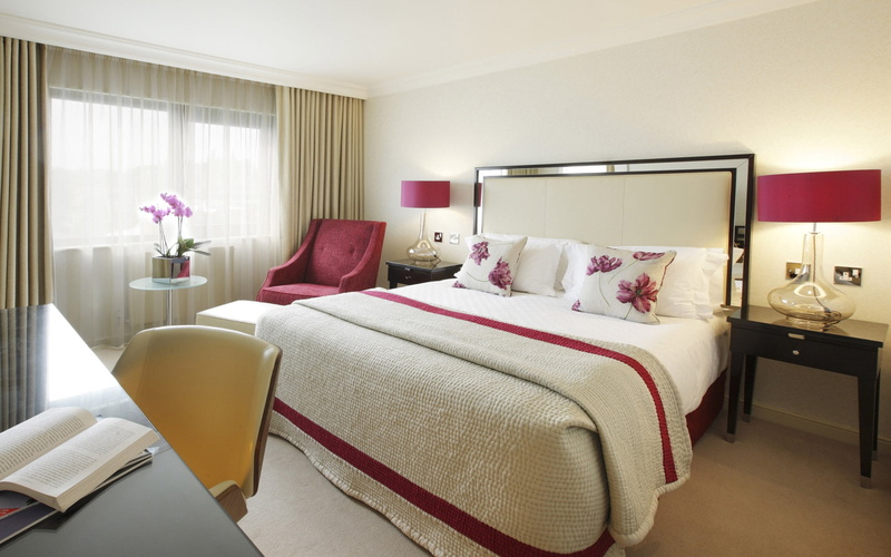 cushion, decor, no People, architecture, cozy, window, elegance, bed, luxury, pillow, decoration, furniture, curtain, electric Lamp, hotel, bedding, bedroom