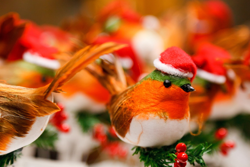 multicolored, plant, holiday, chirping, selective, photography, december, autumn, selective focus, creativity, white, art and craft, robin, decoration