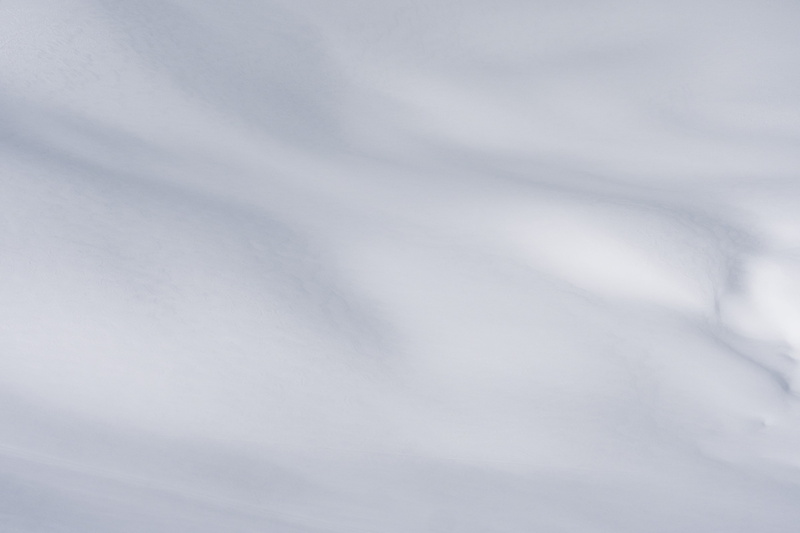 animal, pattern, beauty in nature, no people, blue jay, jay, minimal, bird, sky, gray, nature, backgrounds, flying, low angle view, cloud - sky, seagull