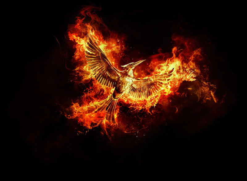 Full, Year, yellow, nature, black background, Fire, bonfire, Julianne Moore, Bird, black Color, outdoors, Natalie Dormer, 8K, heat - Temperature, Josh Hutcherson