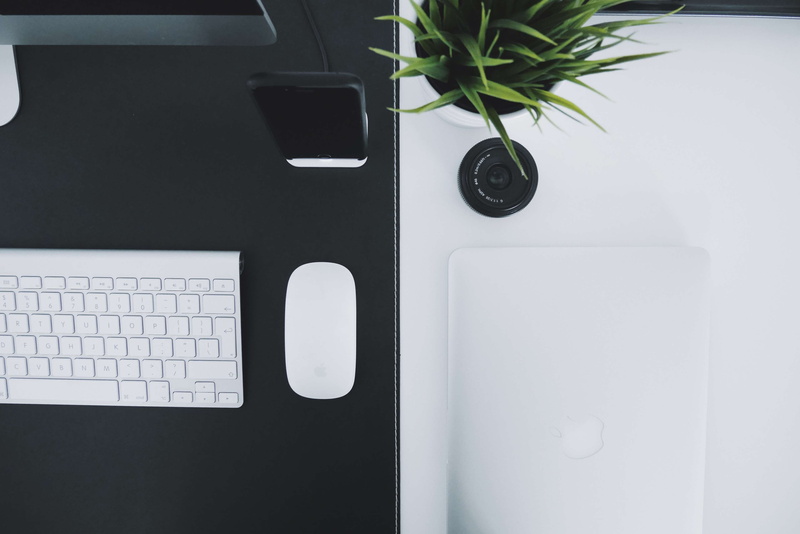 communication, black, high angle view, white color, table, leaf, wireless technology, computer keyboard, indoors, macbook pro, apple mouse, plant part