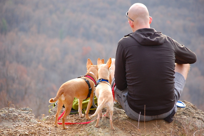 day, wearing, canine, one person, one animal, rear view, nature, vertebrate, hill, edge, person, males, black, caucasian, outdoors, man, men, 2K, clothing