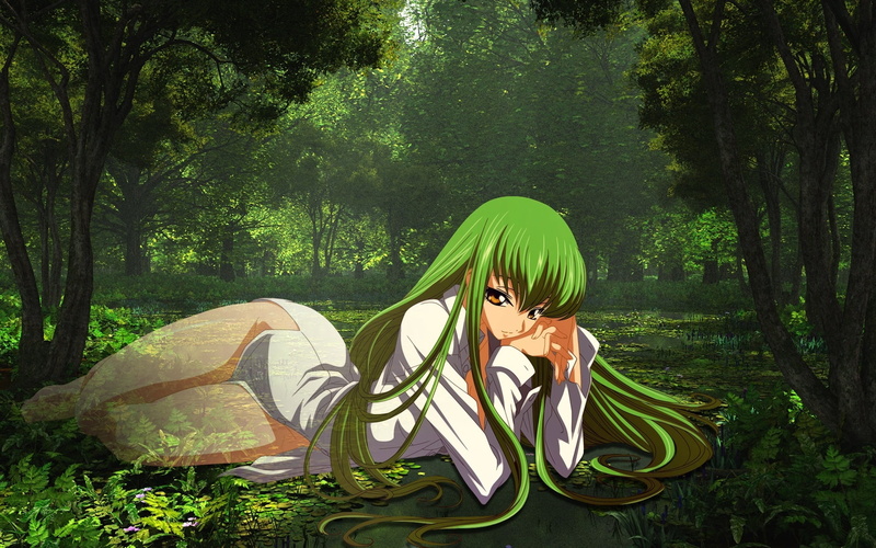 camping, leisure activity, fairy Tale, land, 1080P, computer Graphic, women, lifestyles, one Person, green Color, anime, leaf, outdoors, day