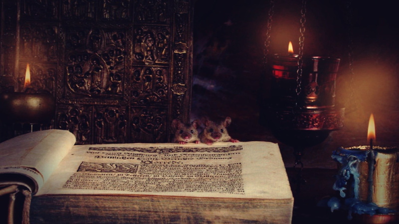text, one animal, pets, fire, indoors, animal themes, domestic animals, domestic, candle, cat, religion, mice, animal, no people, domestic cat, antique