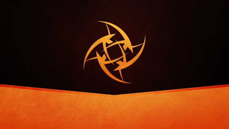 art and craft, animal themes, indoors, nature, yellow, animal wildlife, Counter-Strike, invertebrate, Counter-Strike: Global Offensive, representation