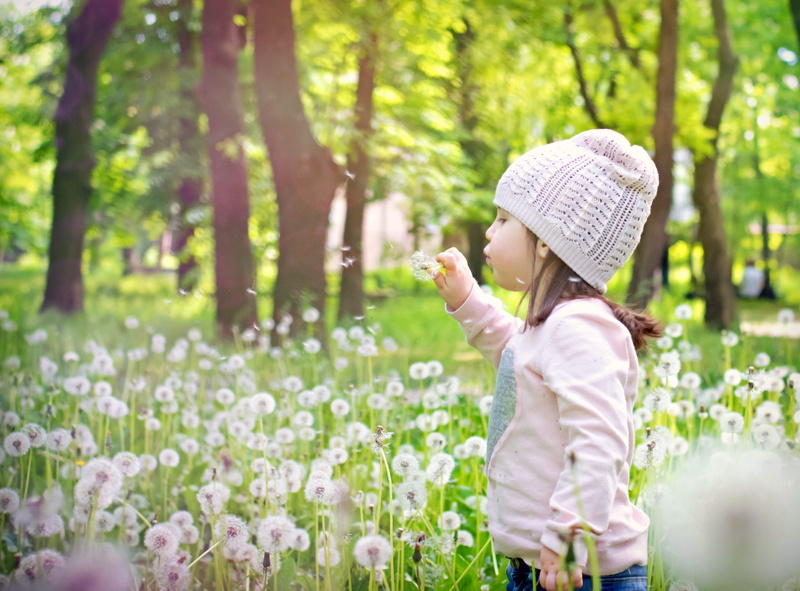spring flower, hat, women, caucasian Ethnicity, green Color, season, standing, beauty, girl, summer, park - Man Made Space, hairstyle, dandelion, casual clothing