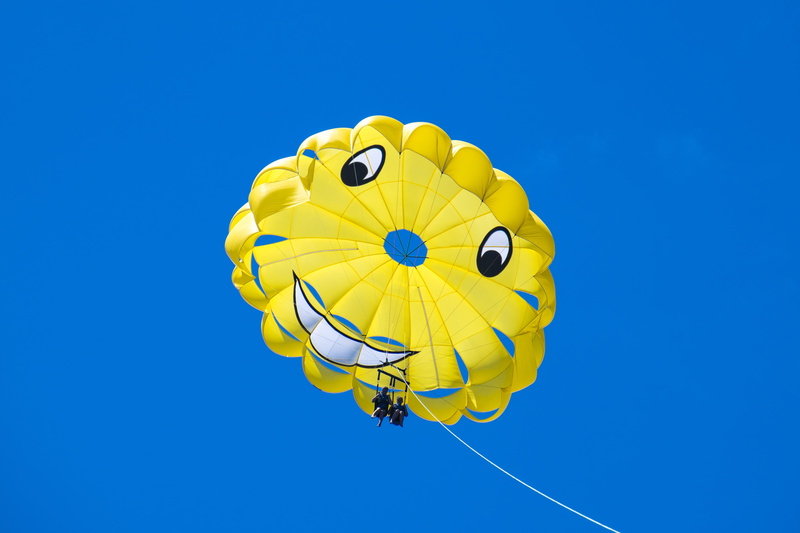 close-up, animal wildlife, animal, activity, one animal, underwater, parasailing, action, riding, happiness, sea, hawaii, representation, happy face, excitement
