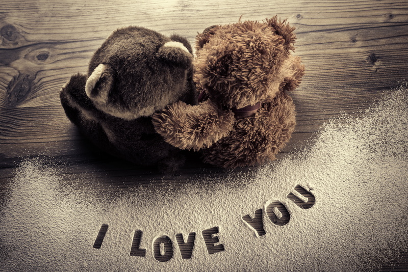 communication, wood - material, pets, representation, relaxation, two, animal themes, high angle view, romantic, indoors, brown, mammal, teddy bear, animal representation