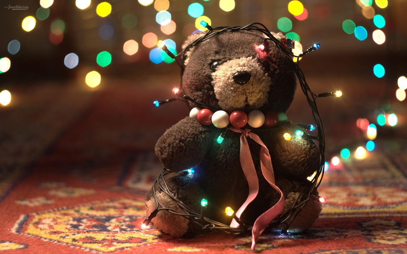 brown, cute, white, adorable, teddy, plush, toy, bear, 1080P