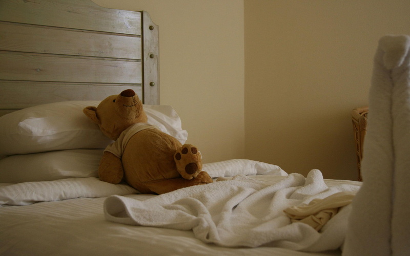 white, rest, teddy, bear, comforter, bed, brown, photography, stuffed, pillow, teddy bear, 2K, 2560x1600, resting