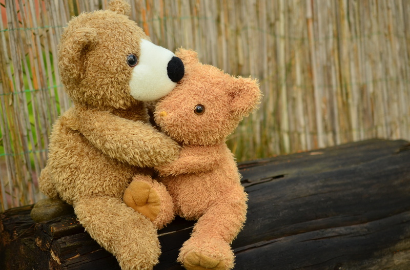 fur, toy, stuffed animal, teddy, teddy Bear, outdoors, glitter eyes, bear, love, pair, cute, stuffed toy, snuggle, consolation, childhood, wood - material