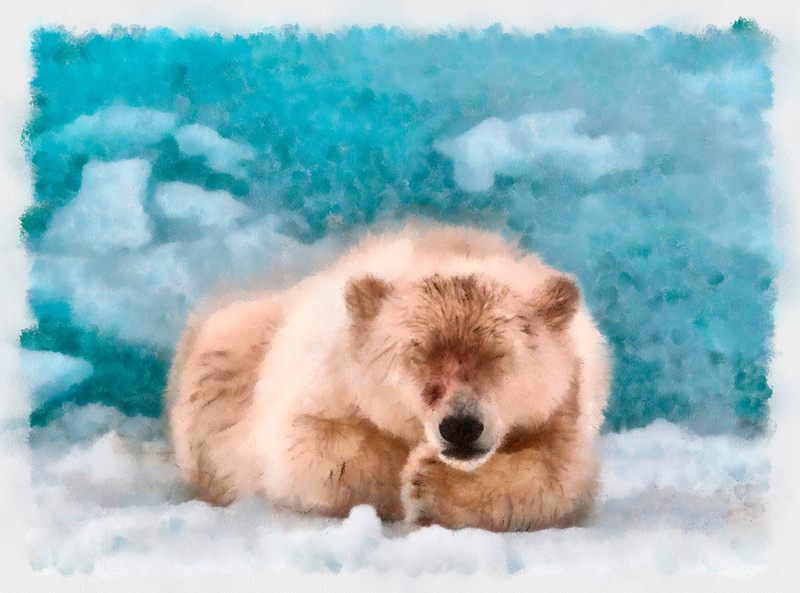 snow, animal, mammal, water, looking at camera, Painting, Bear, animals in the wild, dap, vertebrate, Drawings, polar, one animal, no people, Sleeping
