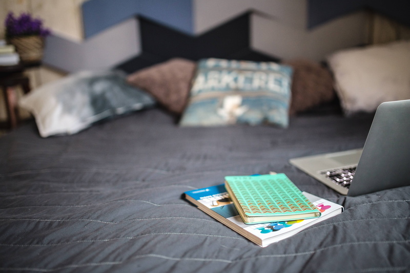 pillows, sofa, cushion, domestic life, pillow, house, sheets, living room, notebook, books, connection, stuffed, no People, bedroom, relaxation, internet